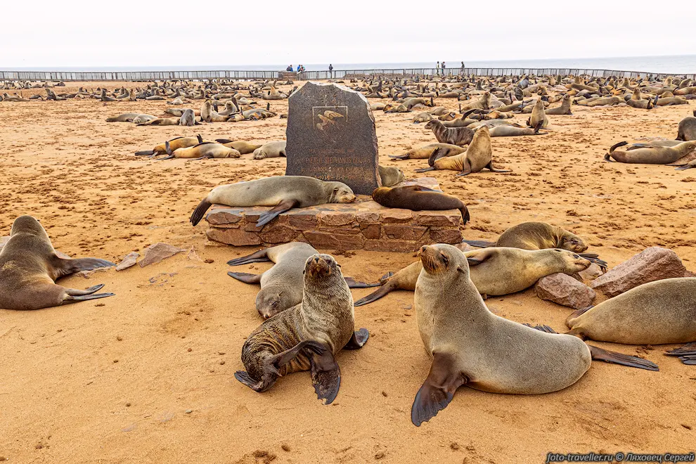Кейп-Кросс (Cape Cross) - мыс и нацпарк (Cape Cross Seal Reserve)
на западном побережье Намибии. 