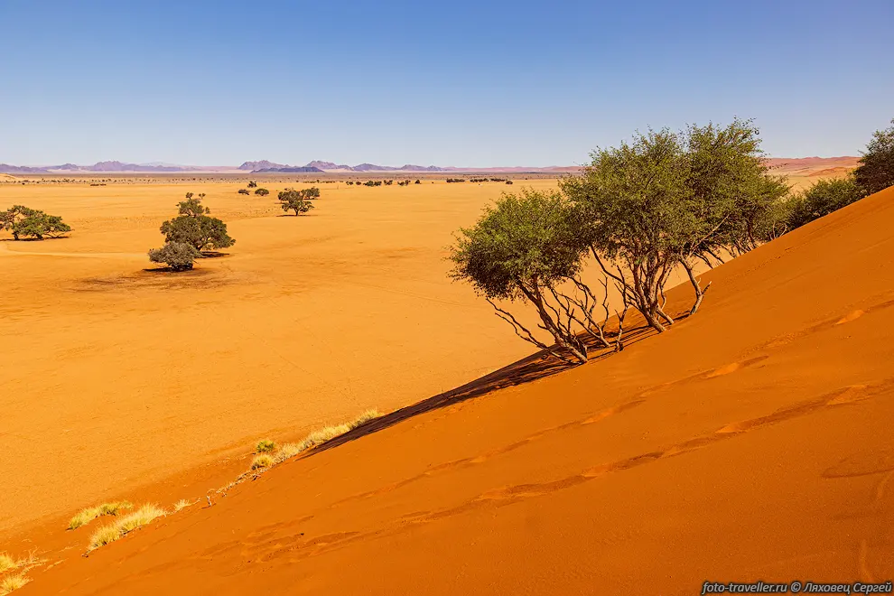 Национальный парк Намиб-Науклуфт (Namib-Naukluft National Park)
- одна из крупнейших охраняемых территорий Африки. 