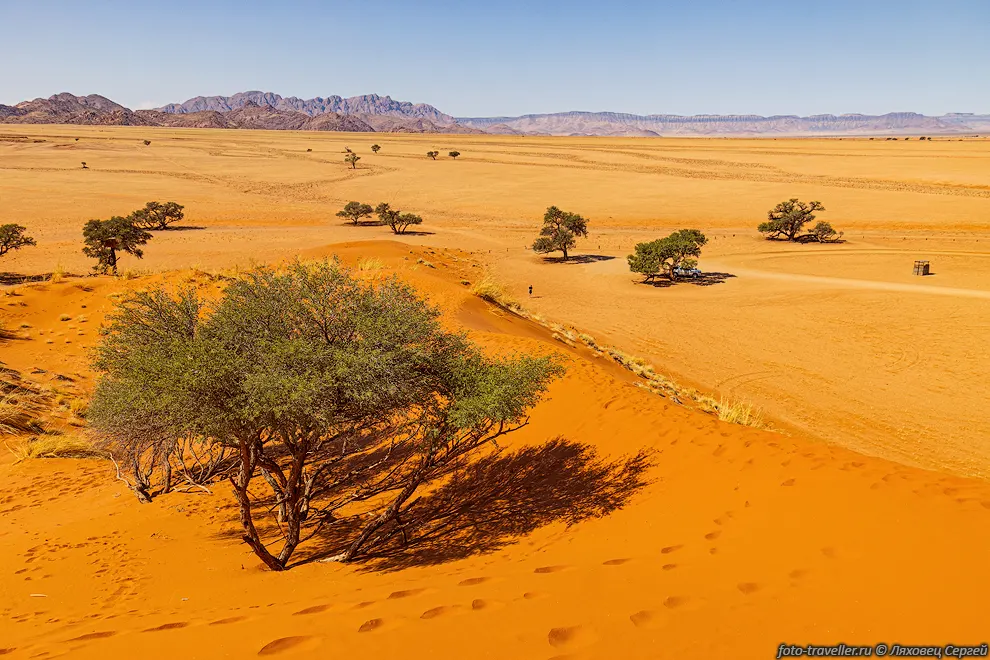 Дюна Элим (Elim Dune) расположена в 5 км от въезда в парк Намиб-Науклуфт.
На дюну можно залезть, с нее открывается красивый вид на окружающие равнины.
На дюне произрастает эндемичная намибская трава стипагростис.