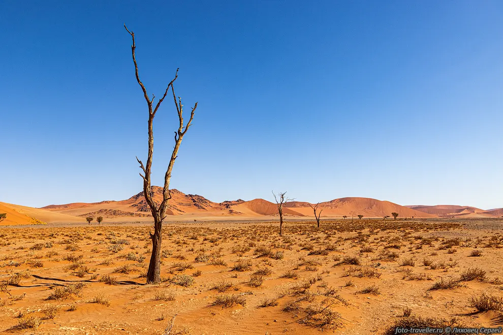 Национальный парк Намиб-Науклуфт (Namib-Naukluft National Park)