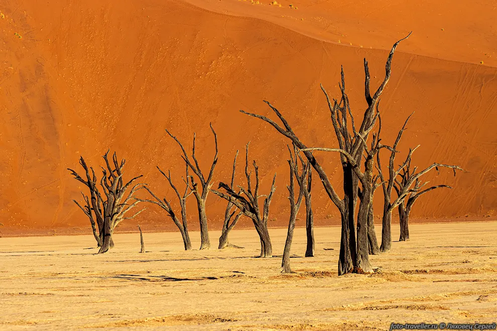 Одним из ответвлений Соссусфлй является Дедвлей (Дедфлей, Deadvlei)
- мертвая долина.
Это популярное место весьма красиво, особенно на рассвете.