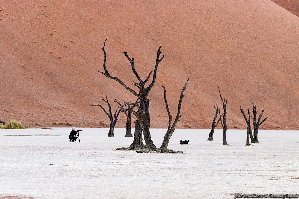 Чтобы попасть рано утром в Дедфлей (Deadvlei) нужно хорошо постараться.