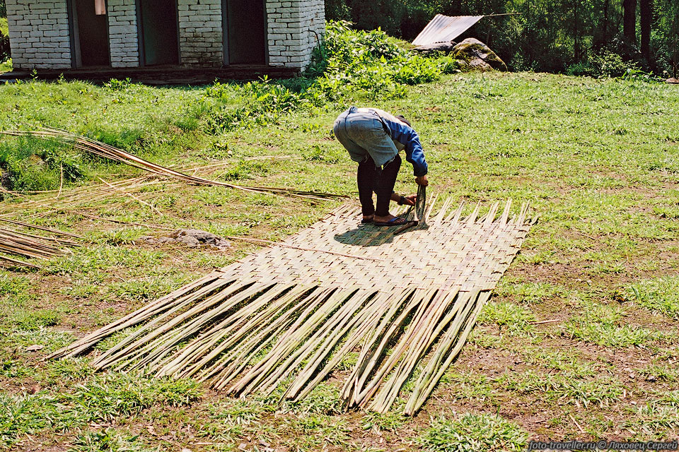 Местный житель плетет забор из бамбука