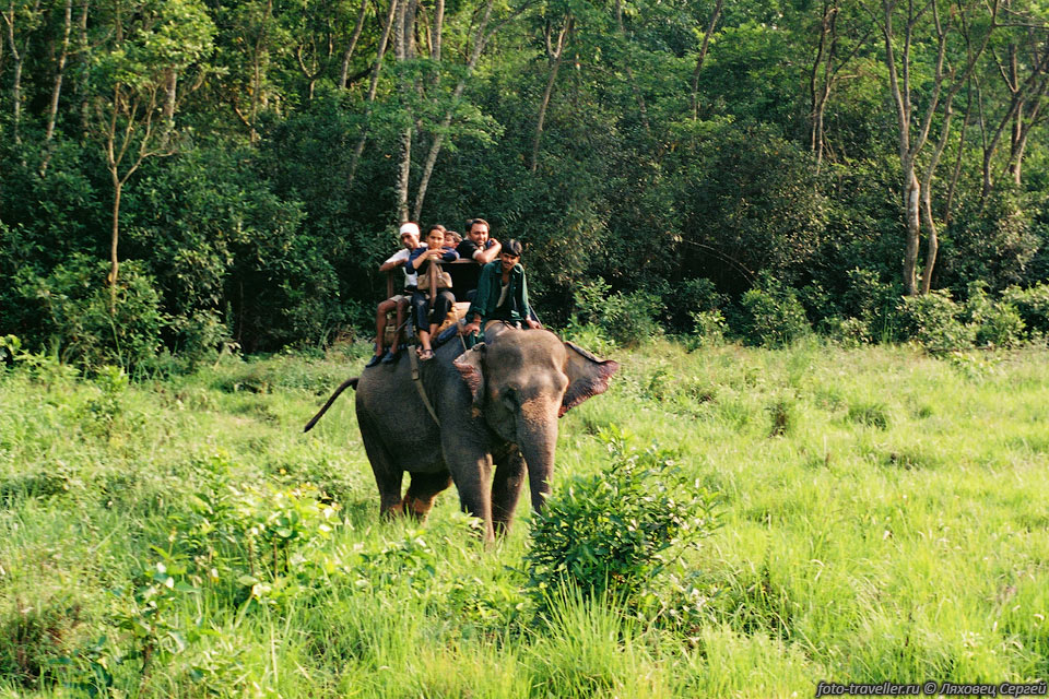 В Королевском Национальном Парке "Читван" туристов катают на слонах.

Парк расположен в Тераях - равнинная местность в джунглях на высоте примерно 300 
м