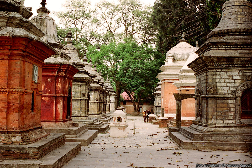 На территории храма Пашупатинатх