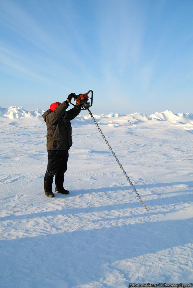 Со льдом в тут последние время проблемы. Потепление уничтожат 
Арктику. Толщина льда на данный момент составляет в среднем 1,2-2 м, причем лед 
в основном однолетний. В 1968 году толщина льда составляла 3-7 м.