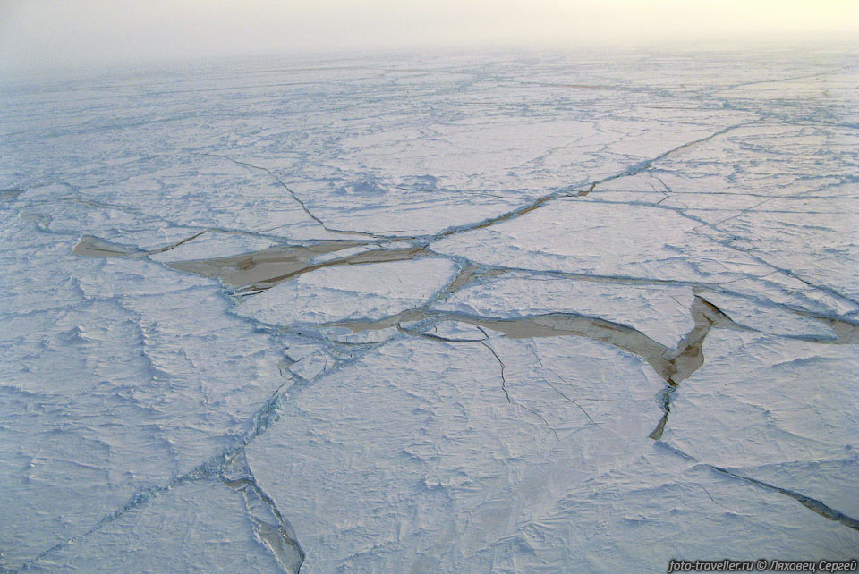 Трещины в ледяном панцире Арктики