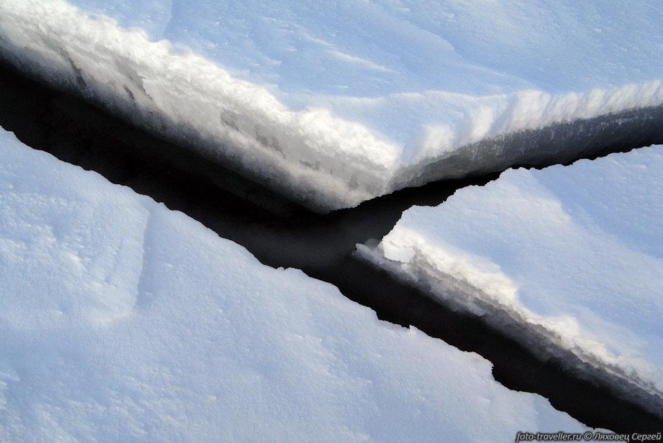 Паковый лед - это лед, сформировавшийся непосредственно в результате 
замерзания поверхности моря. Новообразованный паковый лед редко имеет мощность более 
20 см, но за ряд лет старый лед может достичь мощности до 4 метров и более. 