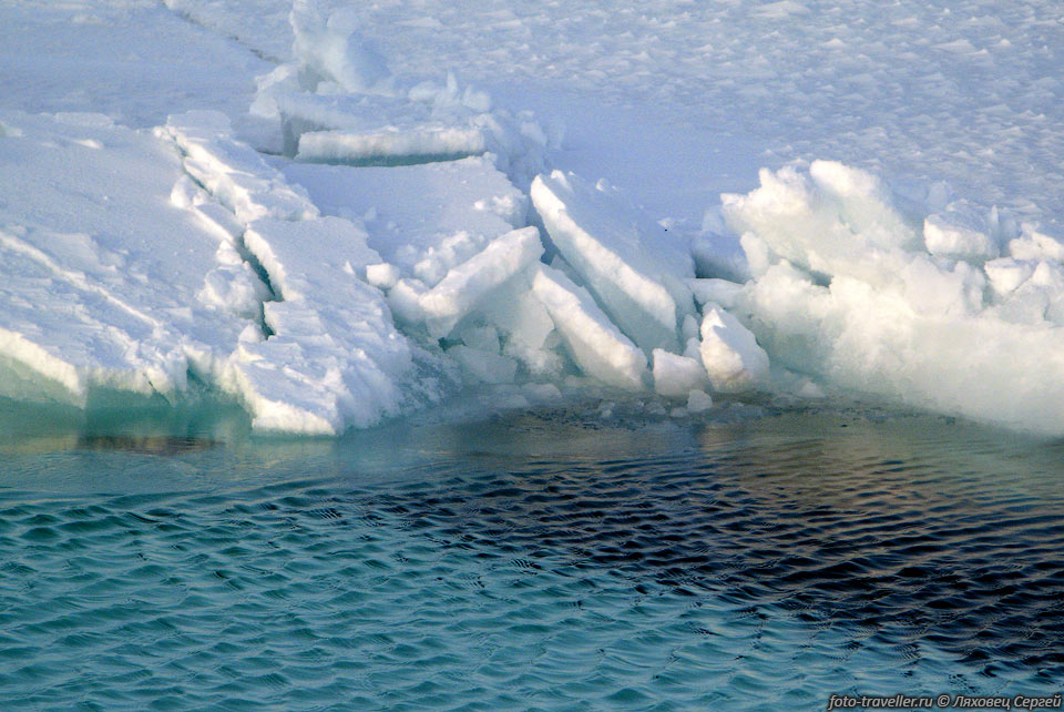 Когда паковый лед расчленяется на отдельные льдины, в поясе льда 
могут появиться трещины и разводья, когда же льдины сбиваются ветром и течениями, 
в результате столкновения краев льдин могут образовываться "гряды выдавливания" 
из битого льда, возвышающиеся над поверхностью на 10 метров и более.