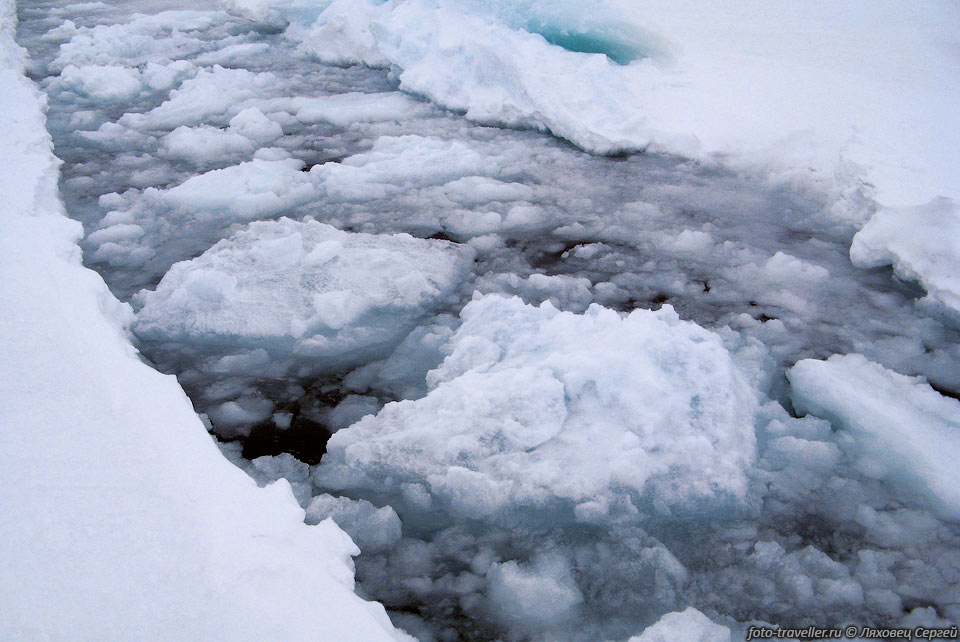 Многолетние морские льды, образующиеся на акватории Северного 
Ледовитого Океана, 
выносятся из центрального Арктического бассейна, главным образом, 
через Северный Полюс в пролив Фрама.