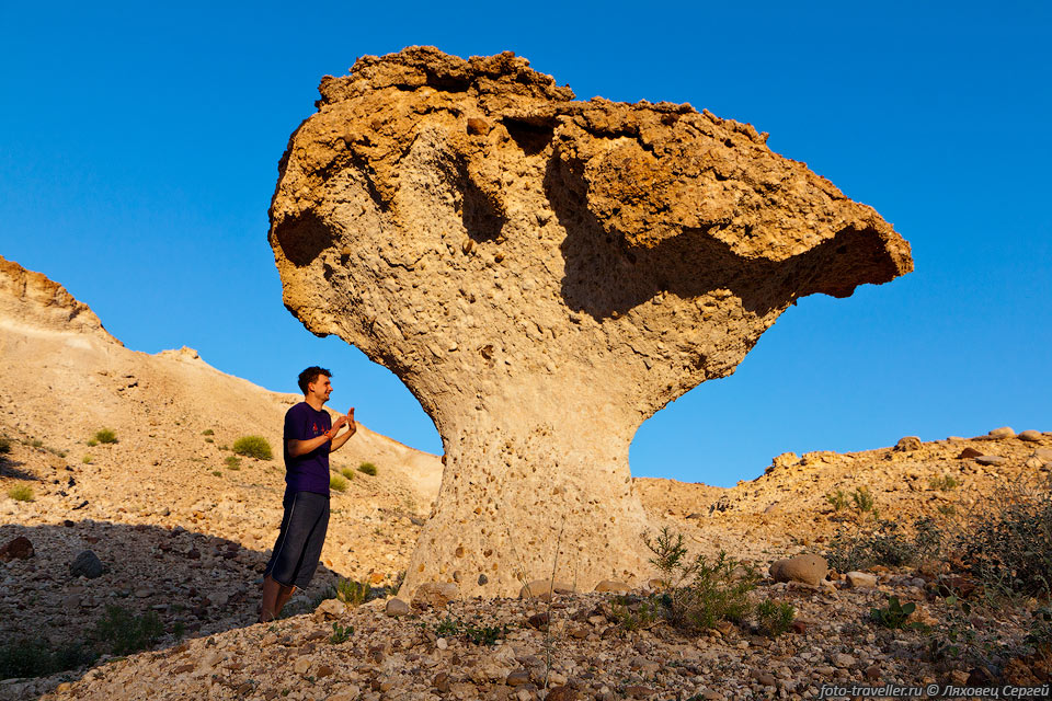 Каменные грибы возле поселка Аль-Мазара (Al-Mazara).
Состоят из песчаника, с твердой коркой сверху.