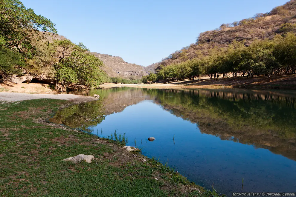 Вади Дарбат (Wadi Dharbat) - оазис у подножья гор.
Деревья, речка, пасутся верблюды.
По большому счету ничего особенного.
