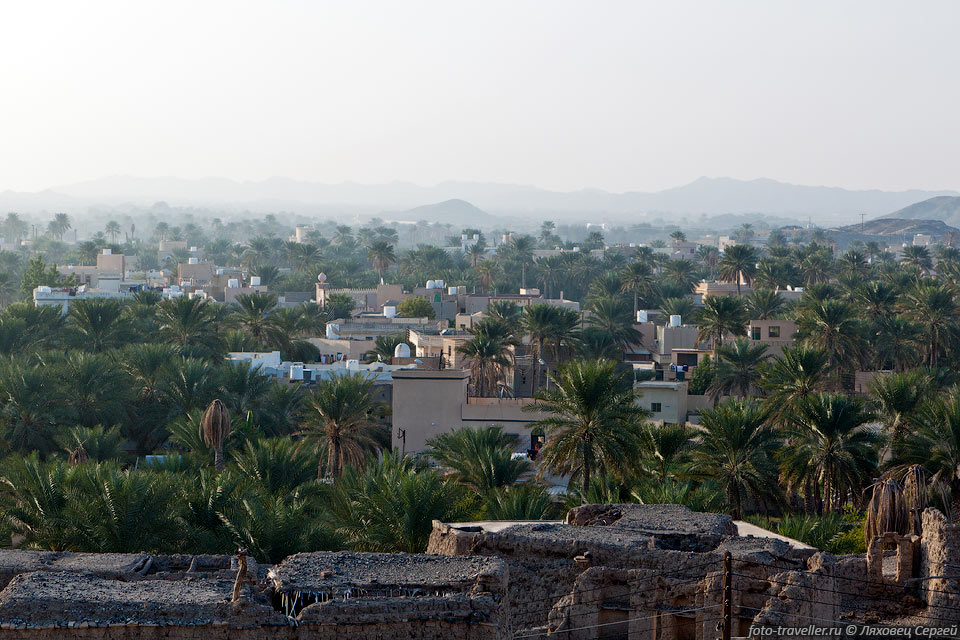 Город Бахла - пальмы и дома