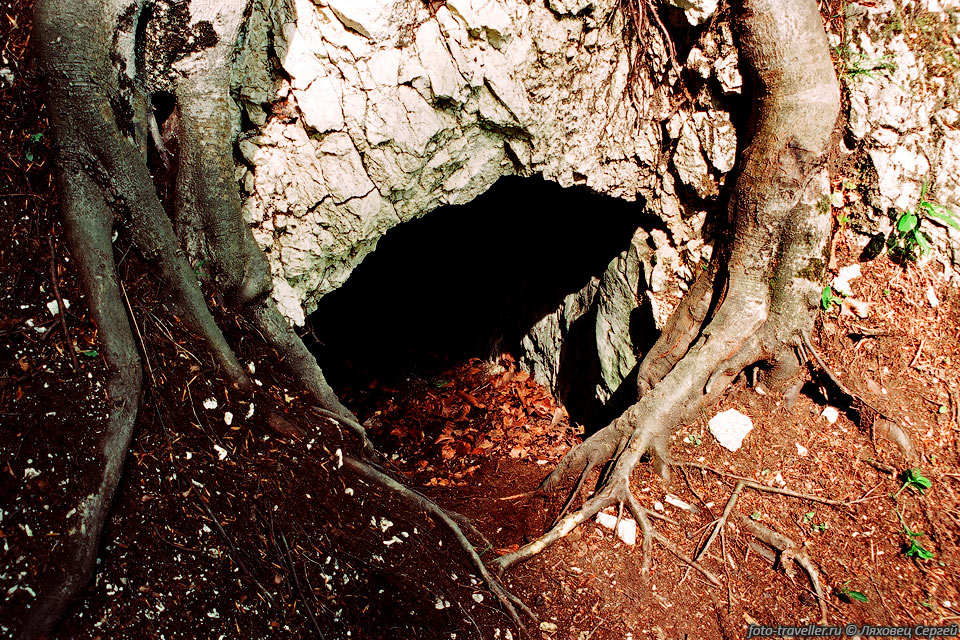 Вход в пещеру Медвежья Нора