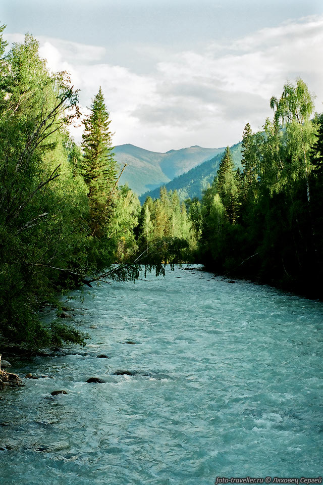 Красивая река