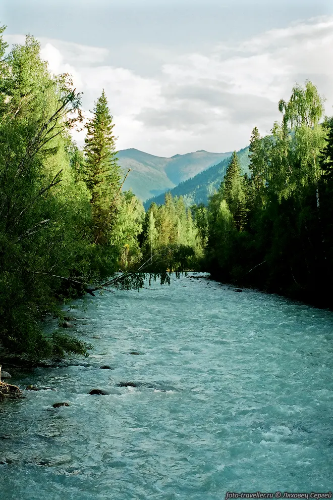 Красивая река