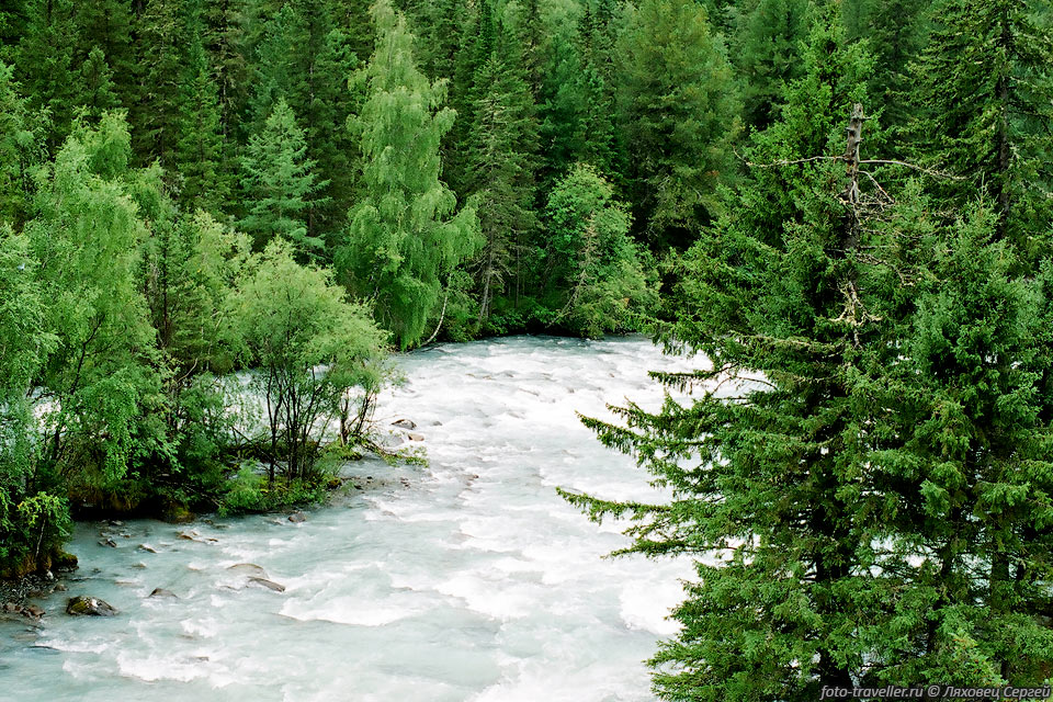 Таежные леса обступают реку