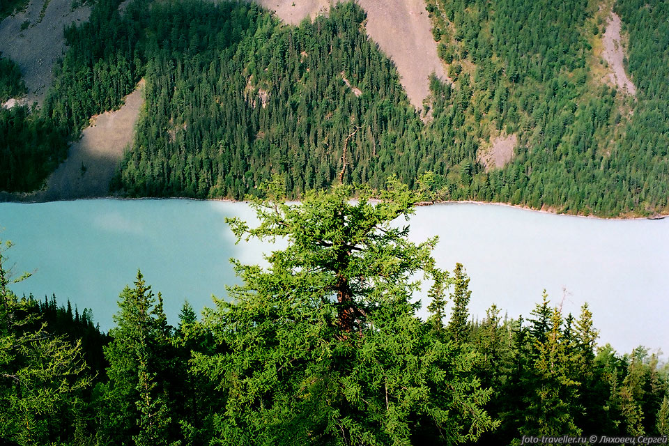 Леса окружают озеро