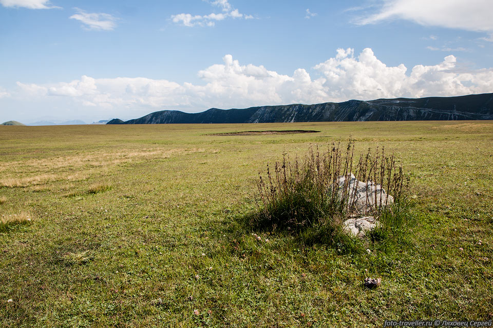 Выеденная трава на просторах плато Аракмеэр