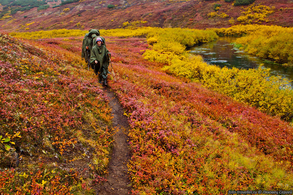 Долина речки Шумная осенью - одно из красивейших мест Камчатки
