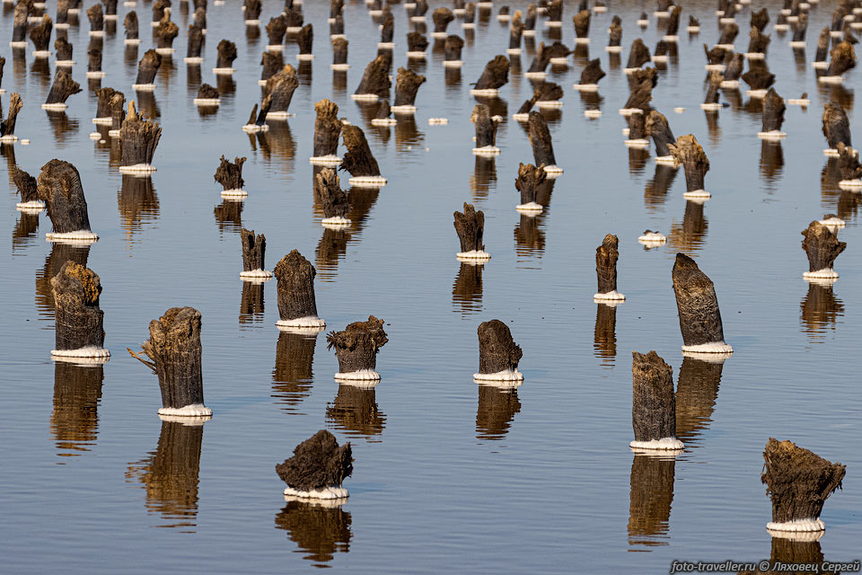Бывшие ограждения солевого промысла на озере Баскунчак