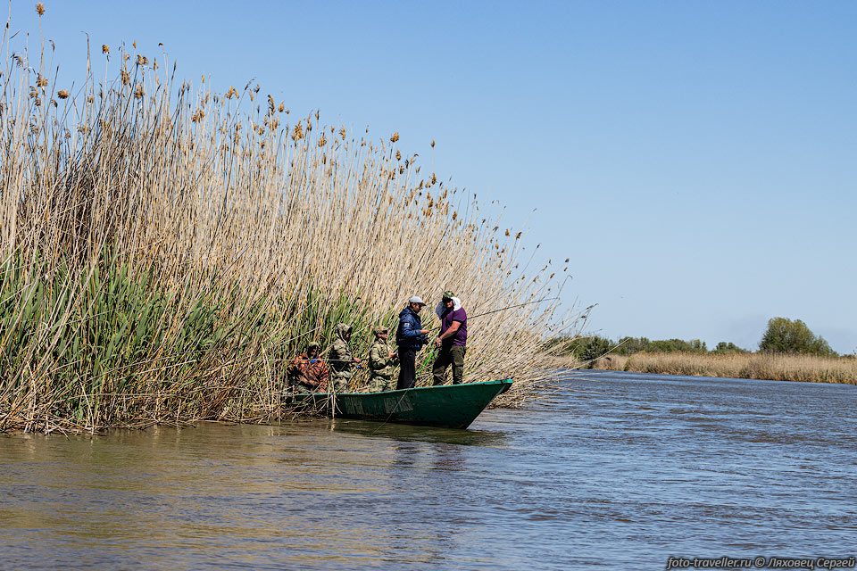 Рыбаки в дельте Волги.