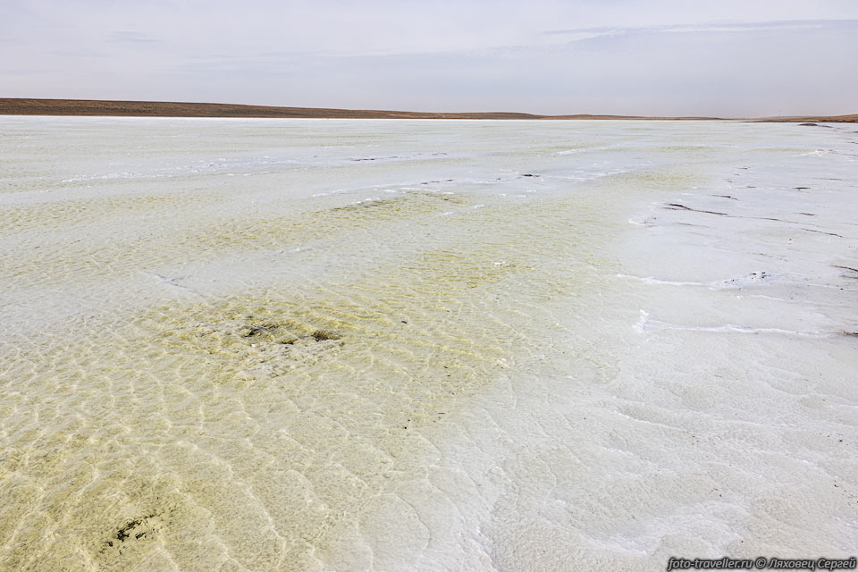 Одно из Длинных озер.
Корка соли покрыта тонким слоем воды.