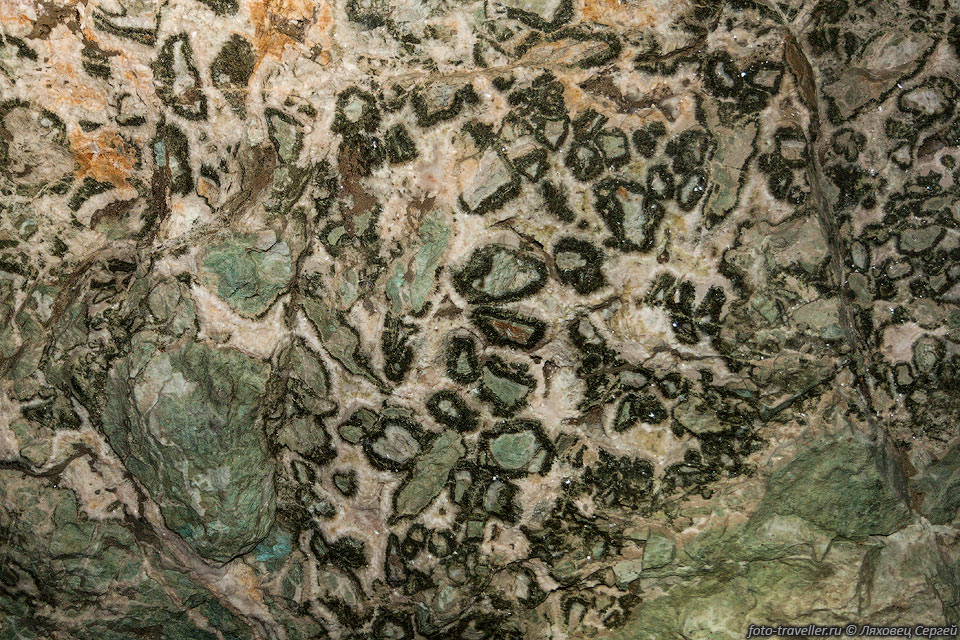 Брекчированная доломитовая жила с кокардовой текстурой. 
Обломки вмещающих пород окружены концентрическими корками доломита с характерными 
зелеными зонами.