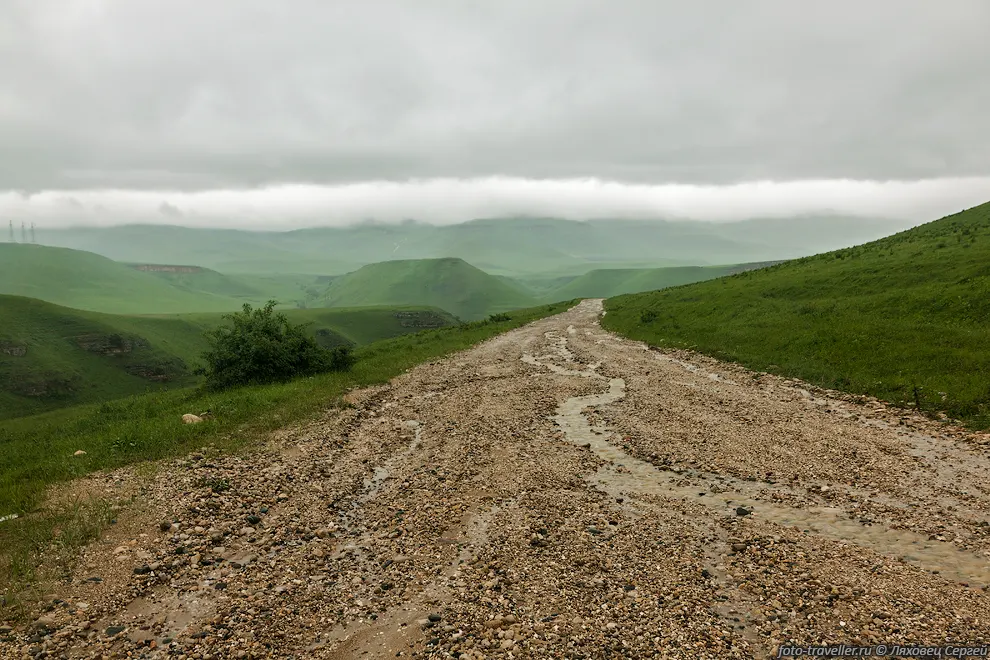 Зеленые холмы пастбищ Аурсентх, перед поселком Кичмалка