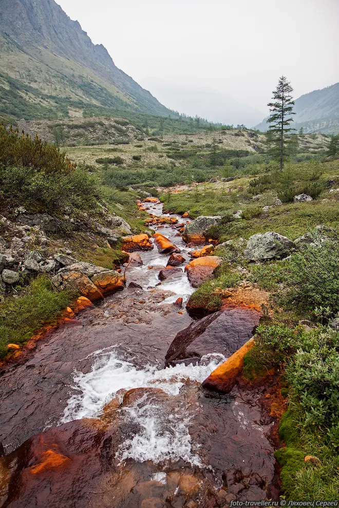 Ручей с оранжевыми берегами.
Совсем не похоже на типичный Кодар