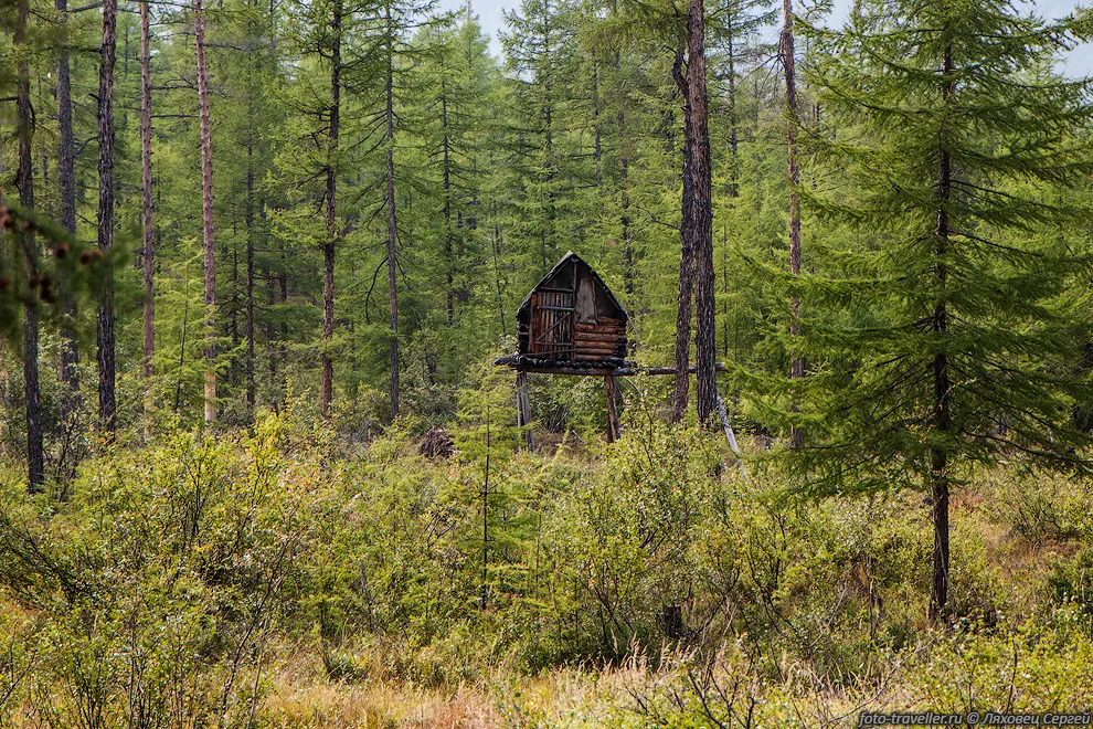 Домик на курьих ножках