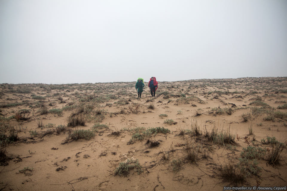 Чарские пески не очень похожи на пески Сахары.
Тут довольно много растительности и влажно.