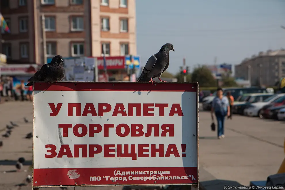 На поезде переехали из Новой Чары в Северобайкальск