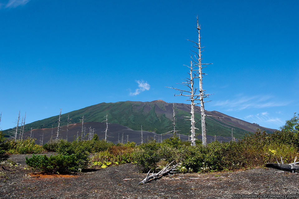 Вулкан Тятя - самый высокий из четырёх вулканов острова Кунашир.