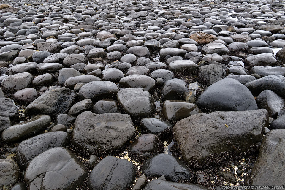 Каменная дорога - местами вдоль берега камни как будто уложены