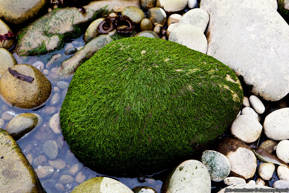 Зеленый камень