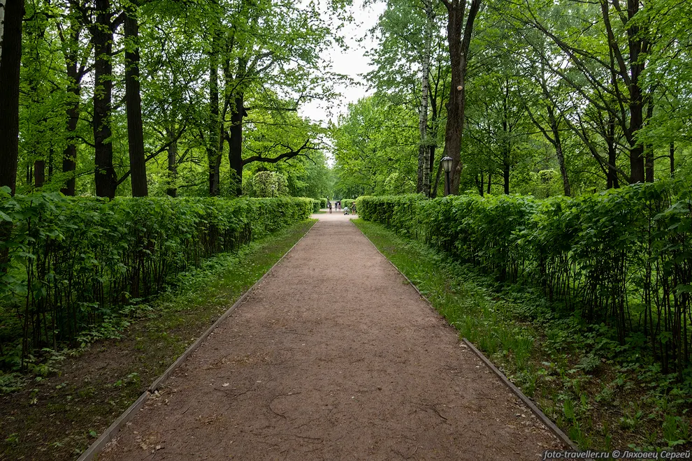 Кусковский лесопарк