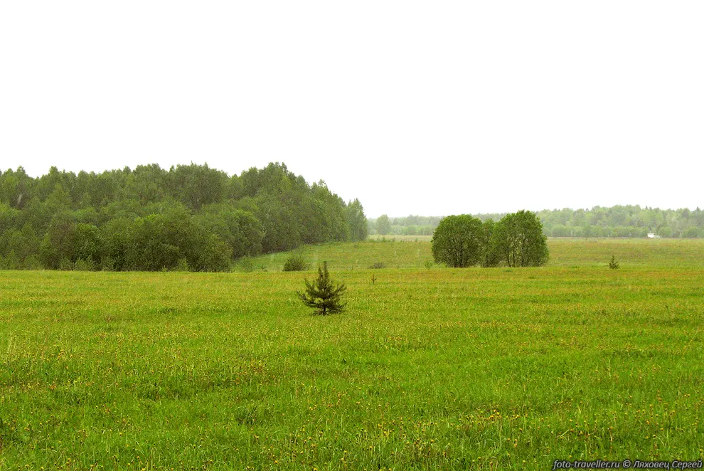 Лужайка