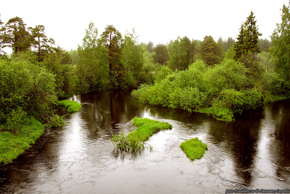 Река среди болот