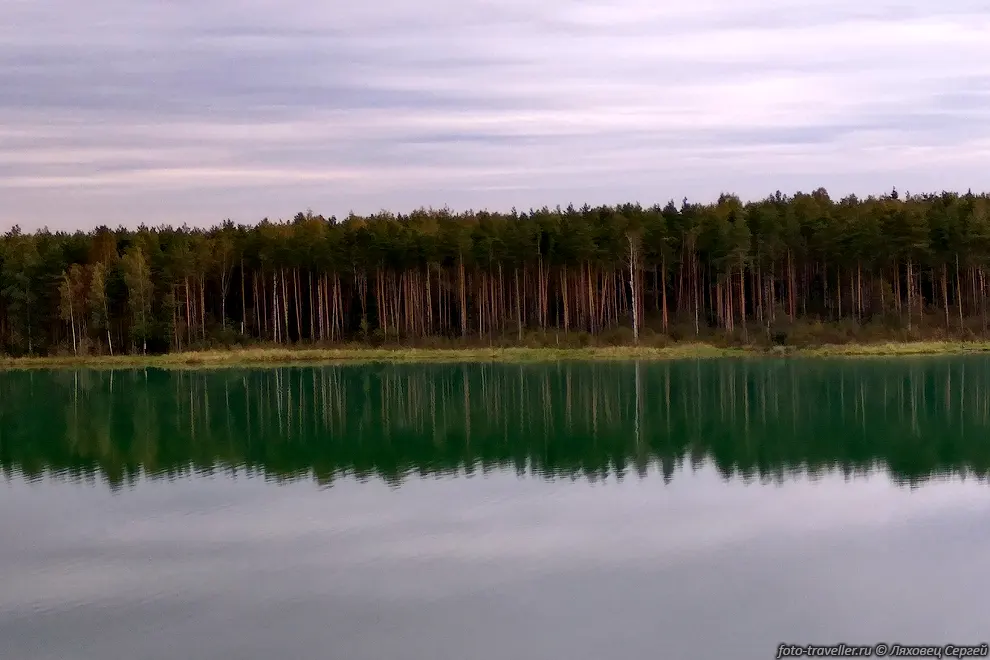 Полоса леса