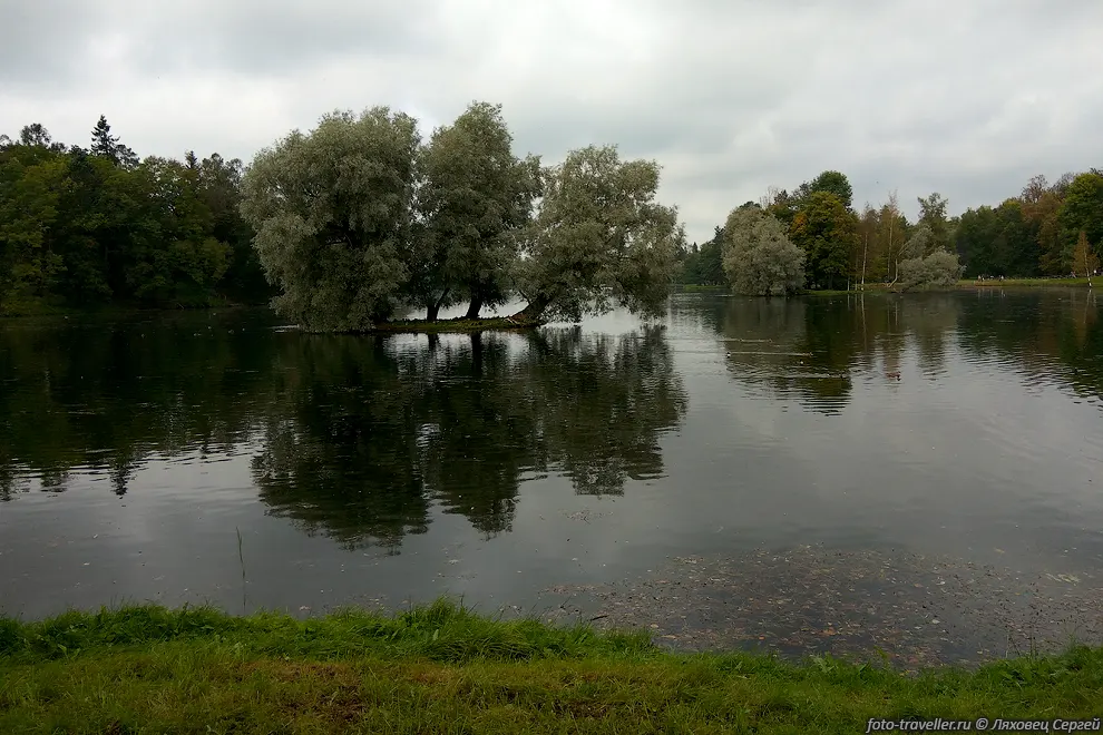 Острова с деревьями