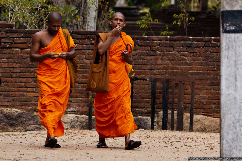 Монахи в Шри-Ланке ходят в ярко-оранжевых одеждах.
Их тут все очень уважают.
В автобусах для них зарезервирован передний ряд сидений.
Интересно, что девушкам не допускается сидеть рядом с монахами.