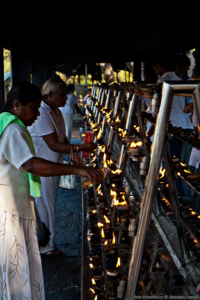 Лампады возле священного дерева Джая Шри Маха Бодхи.
Каждый год тысячи верующих совершают паломничество по святым местам Анурадхапуры.