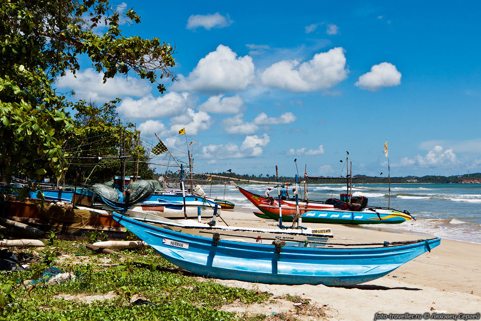 Рыбацкие лодки в Велигама (Weligama).
В переводе название значит "Песочная Деревня" - поселок находится на берегу песчаной 
бухты.