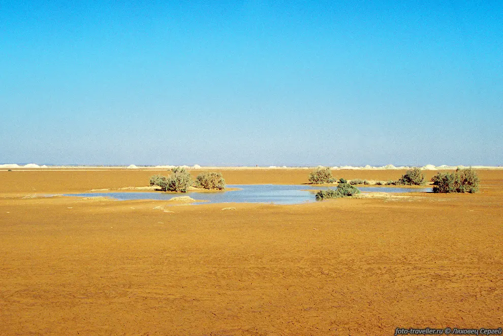 Национальный парк Азрак (Azraq National Park) основан в 1958
году и охраняет пресное озеро, к которому собирается на водопой большое количество 
птиц и животных, среди которых знаменитые аравийские антилопы-ориксы. За последние 
10 лет озеро значительно обмелело, так как вода используется для разрастающегося 
города. Хотели дойти до края озера, долго шлепали по грязи, но за час так и не дошли. 
А оно казалось так близко ... 