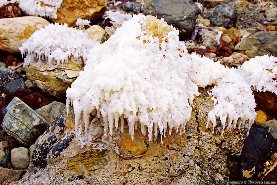 В Мертвом море растворен 21 вид природных минералов, необходимых 
для жизнедеятельности человека. По сравнению с Атлантическом океаном, содержание 
калия почти в 20 раз больше, магния - в 35 раз больше, кальция - в 42 раза, брома 
- в 80 раз.