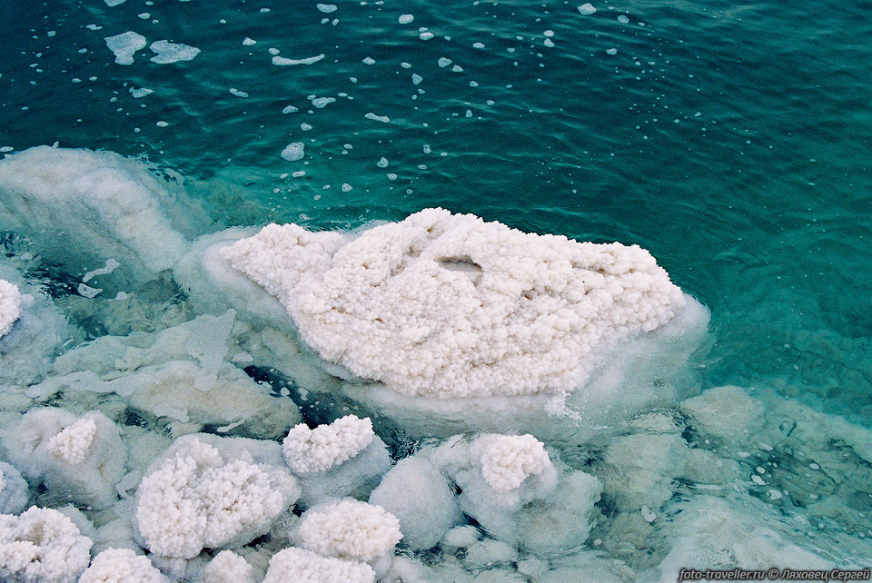 По составу солей, Мертвое море резко отличается от всех других 
морей планеты. В то время, как в водах других морей содержание хлорида натрия составляет 
77% от всего солевого состава, в водах Мертвого моря его доля составляет 25-30%, 
на долю же солей магния, приходится до 50%. 