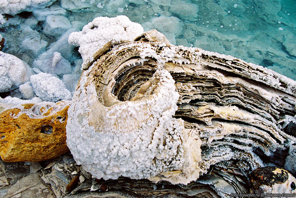 За время существования Мертвого моря на его дне образовался осадочный 
слой ила толщиной примерно 100 м, это так называемые грязи Мертвого моря. Они содержат 
45% солей, 5% биомассы и 50% воды.