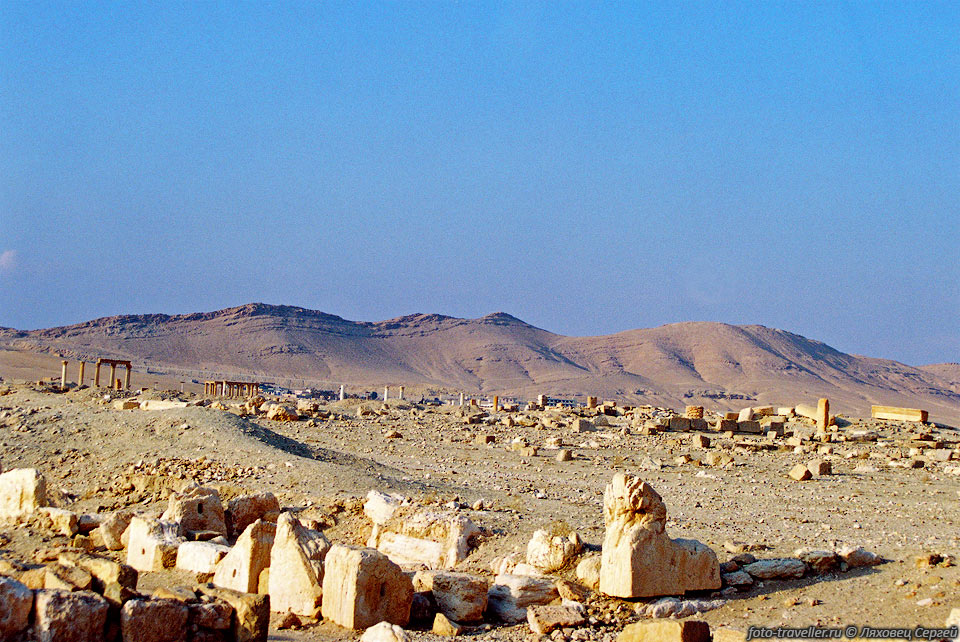 Сейчас от песка очищена только часть Пальмиры. 
Его размеры можно представить, если смотреть на город из возвышающейся над ним арабской 
крепости. 