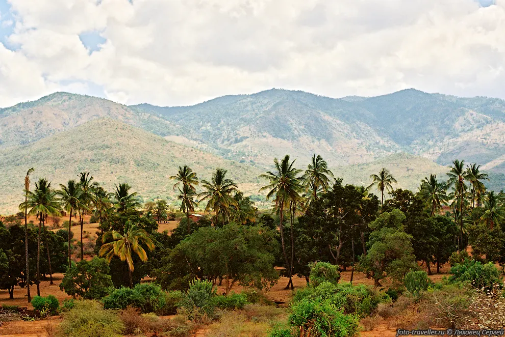 Горы Усамбара (Usambara).
